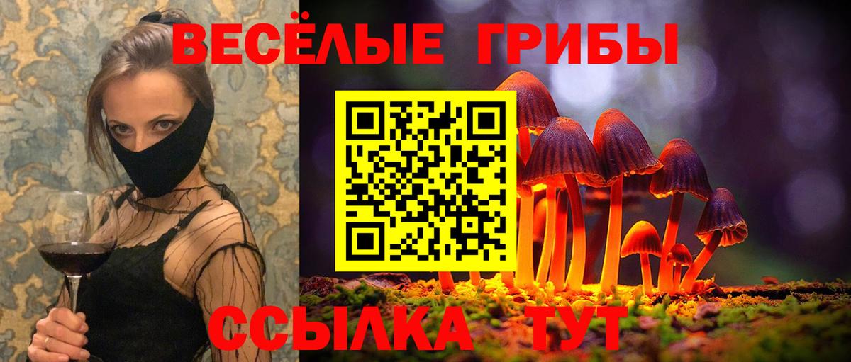 Галлюциногенные грибы Cubensis  Вход с VPN  Выкса 