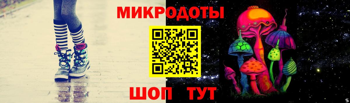 Псилоцибиновые грибы Psilocybe Выкса