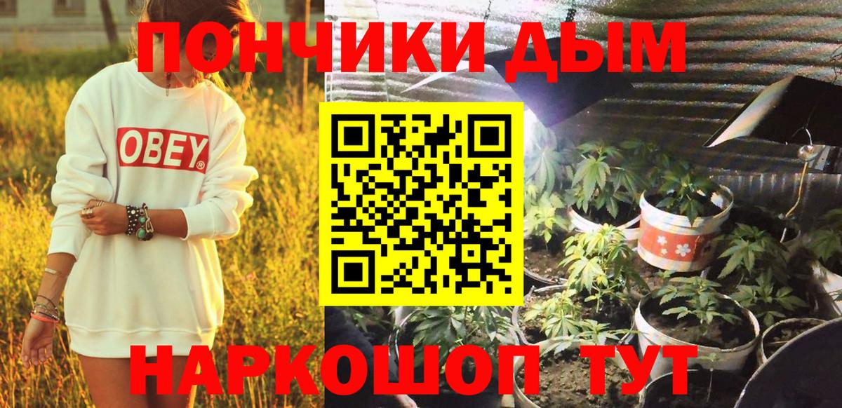 Марихуана гибрид  Вход с VPN  Конопля OG Kush  МАРИХУАНА OG Kush  Выкса  Каннабис марихуана 